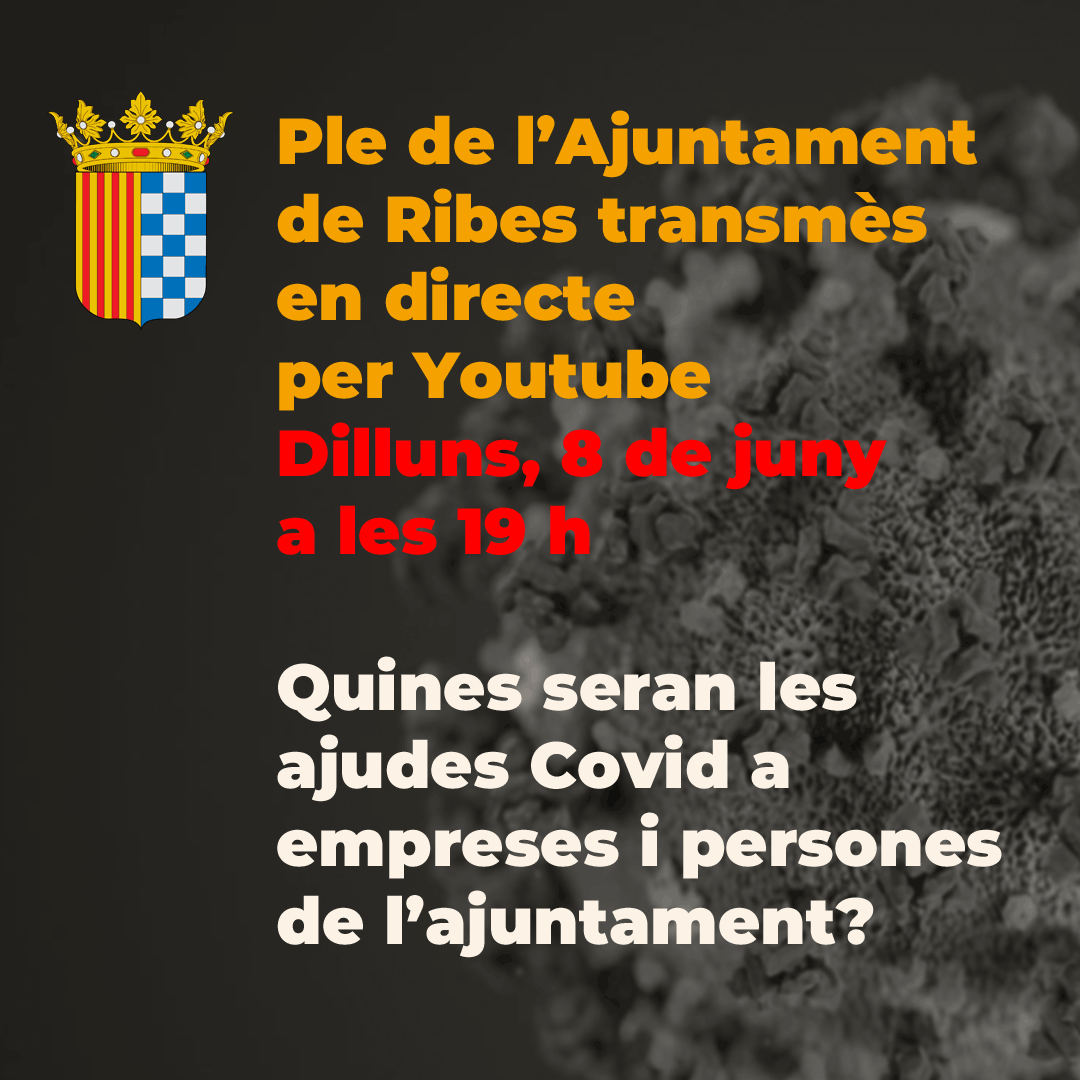 Ple transmès en directe extraordinari dedicat a les ajudes Covid19 de l'Ajuntament de Ribes de Freser