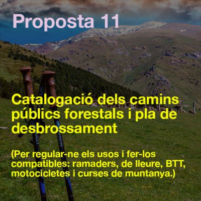 propostes-tots-fem-ribes-11